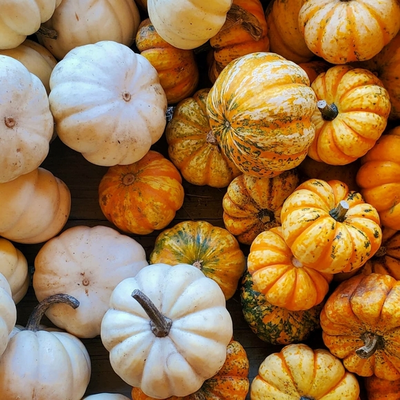 Meet your Posher, Vie - Picture 2 of 2